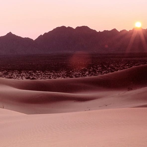 Visitar los Médanos de Samalayuca – CHIHUAHUA, MARAVILLAS NATURALES
